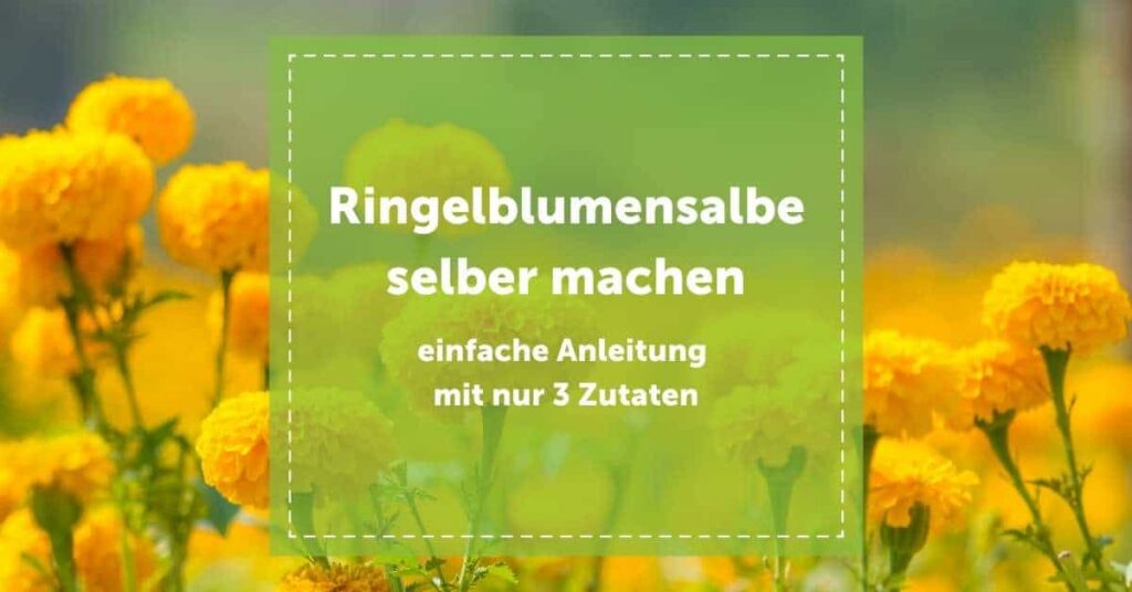 Zutaten für Ringelblumensalbe: Blüten, Öl und Bienenwachs