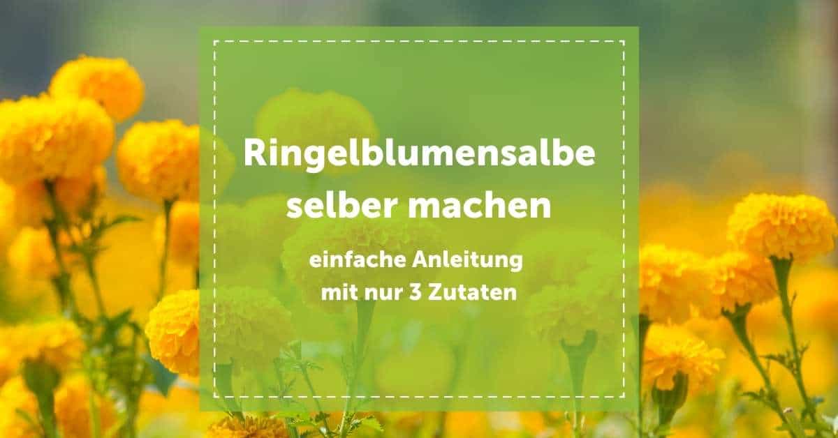 Zutaten für Ringelblumensalbe: Blüten, Öl und Bienenwachs