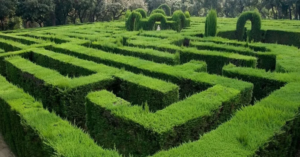 Labyrinth aus Hecken